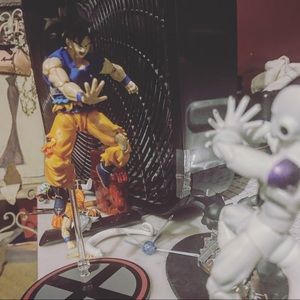 Meet your Posher, Chase